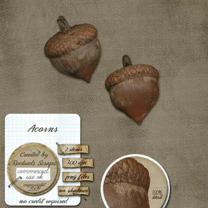 Acorns, Volume 01
