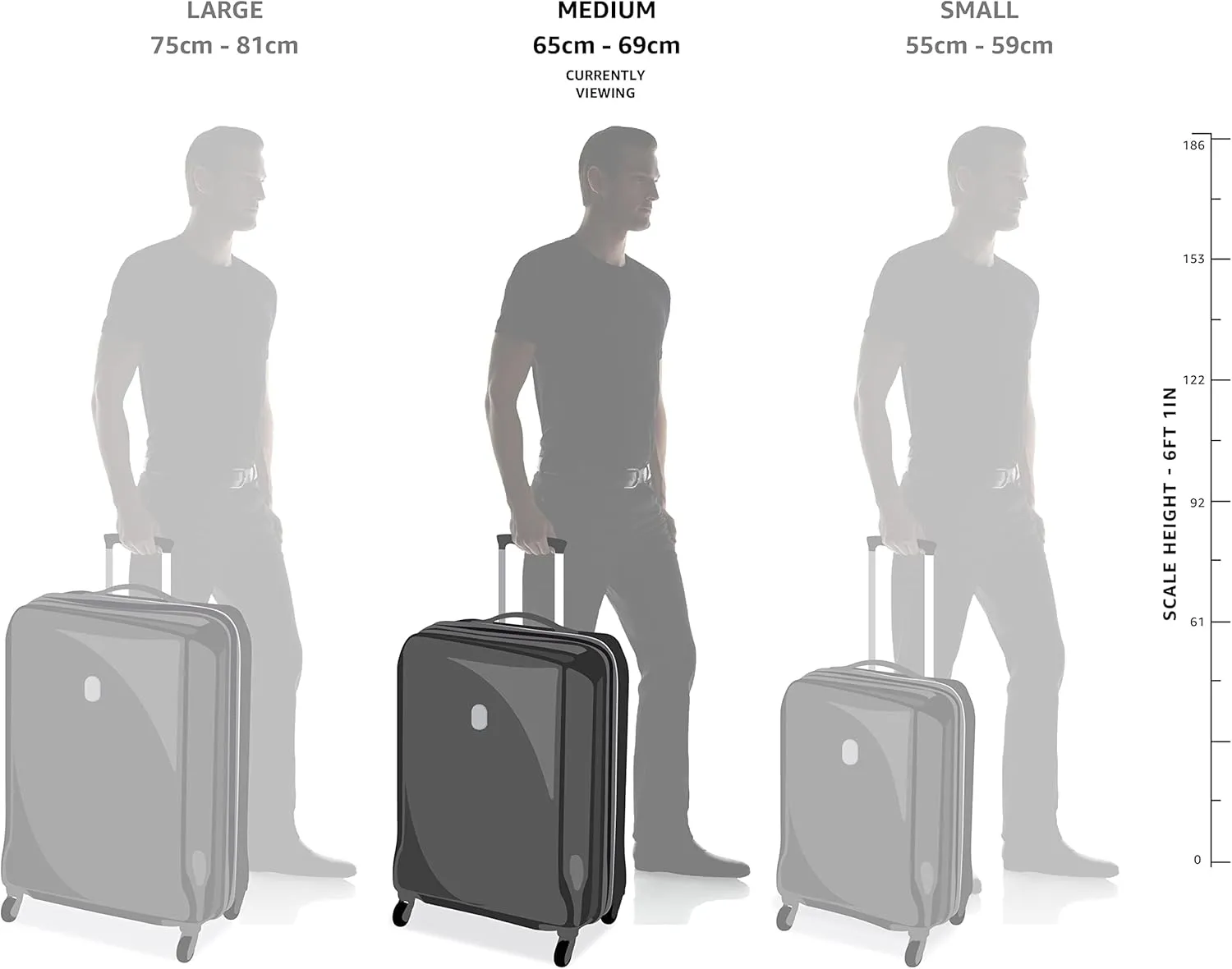 Amazon Basics 26-inch Hardside Checked Luggage With Leather Detailing, Hardshell Suitcase With Wheels, Expandable Space, With 8 Multi-directional Wheels, Scratch-Resistant Surface, Black