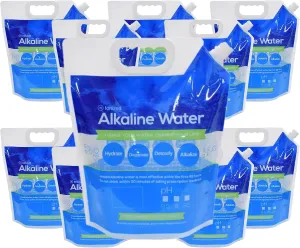 Bulk BPA Free Foldable Alkaline PH Water Bags - 5L, Collapsible Emergency Jug, Freezable, Food Grade, Outdoor Folding Tank (10)