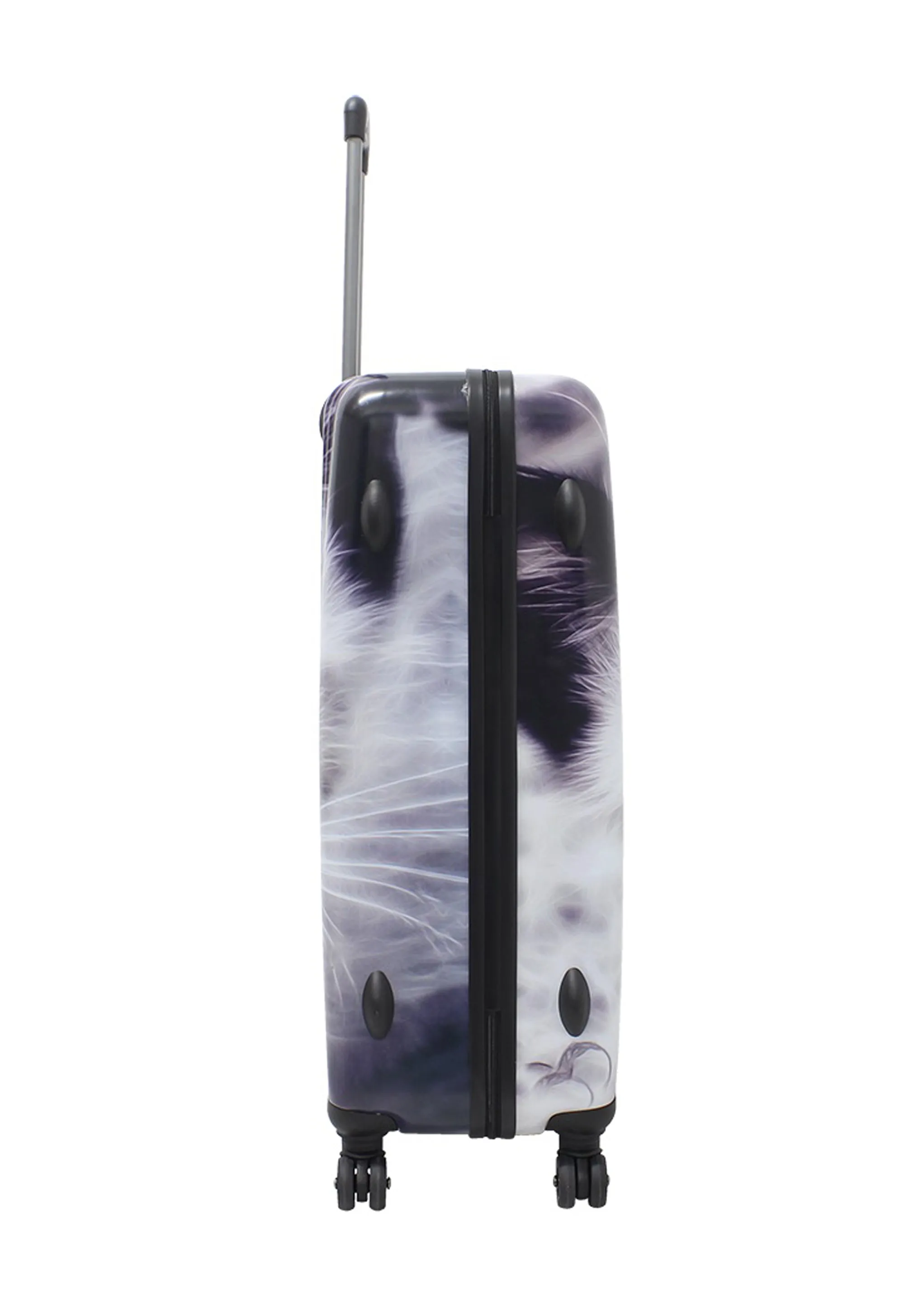 Saxoline White Cat Hard Luggage / Trolley / Suitcase Print